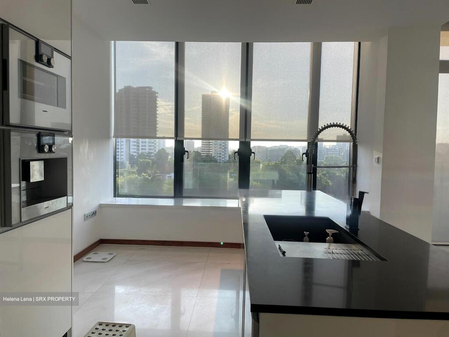 The Scotts Tower (D9), Condominium #468916251